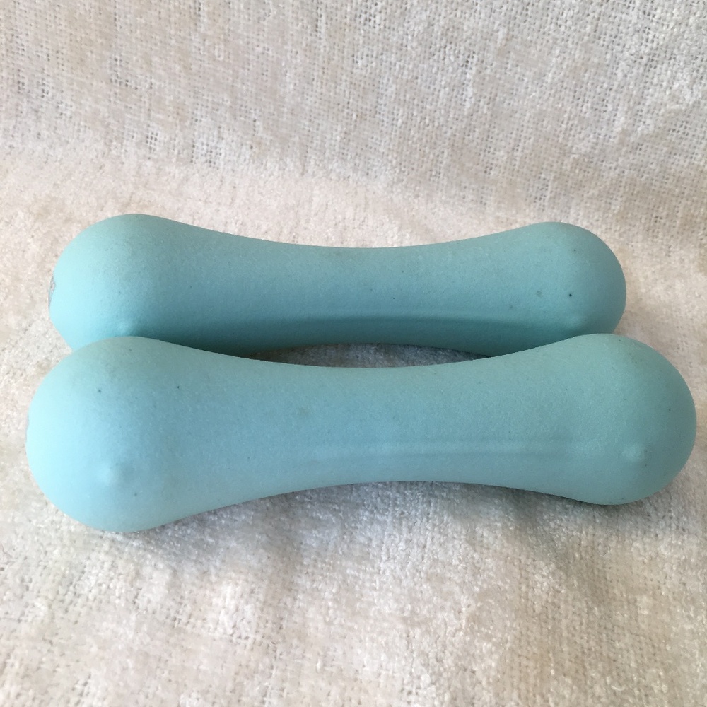 Two RBX weights, 2 pounds each